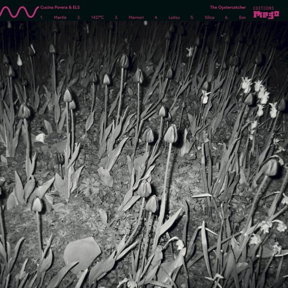 Cover of The Oystercatcher by Cucina Povera & ELS